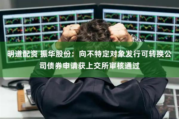明道配资 振华股份：向不特定对象发行可转换公司债券申请获上交所审核通过