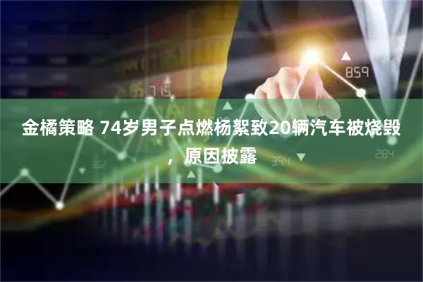 金橘策略 74岁男子点燃杨絮致20辆汽车被烧毁，原因披露