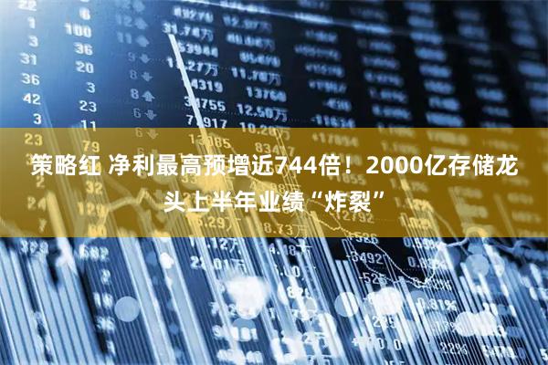 策略红 净利最高预增近744倍！2000亿存储龙头上半年业绩“炸裂”